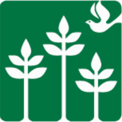 MillSpringsAcad's profile picture. Independent School for 1-12th grade students with LD/ADHD on 85 acres in North Fulton County. #SuccessInSchoolSuccessInLife