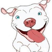 BARC's Rescue (@barcsrescue) 's Twitter Profile