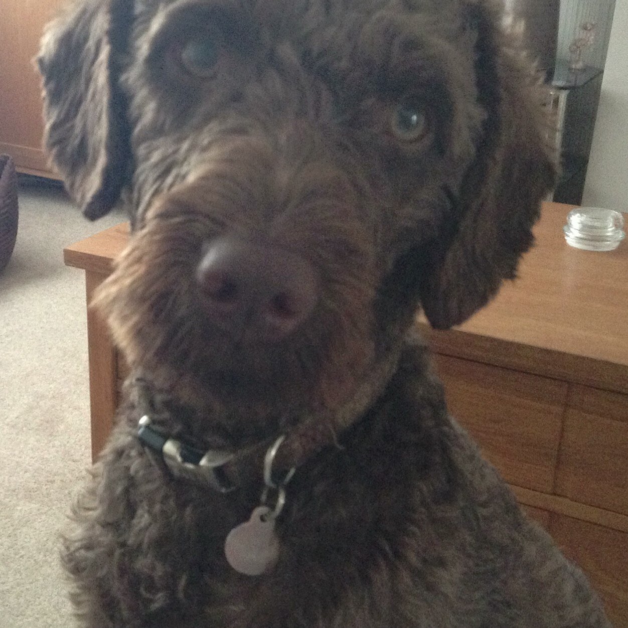 natarnold's profile picture. 