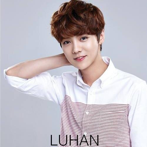 1st Fanbase for Luhan in France . Bring you the news , update and videos about our lovely deer♥
Première fanbase française pour Luhan ♥