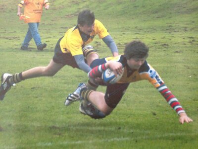 Jack_Marron_'s profile picture. 