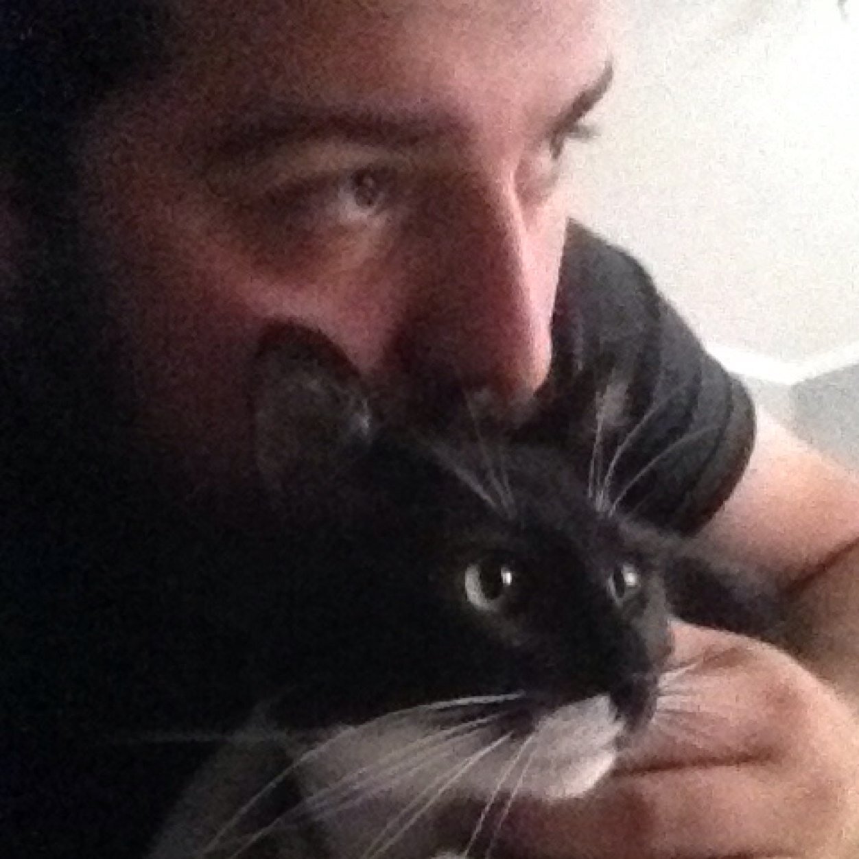 neristavi's profile picture. 