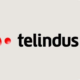 Telindus France est depuis plus de 40 ans un leader reconnu dans la mise en œuvre de solutions de réseaux/sécurité/stockage/collaboration.