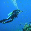 Jennifer Ceja - @honudiver86 - Twitter