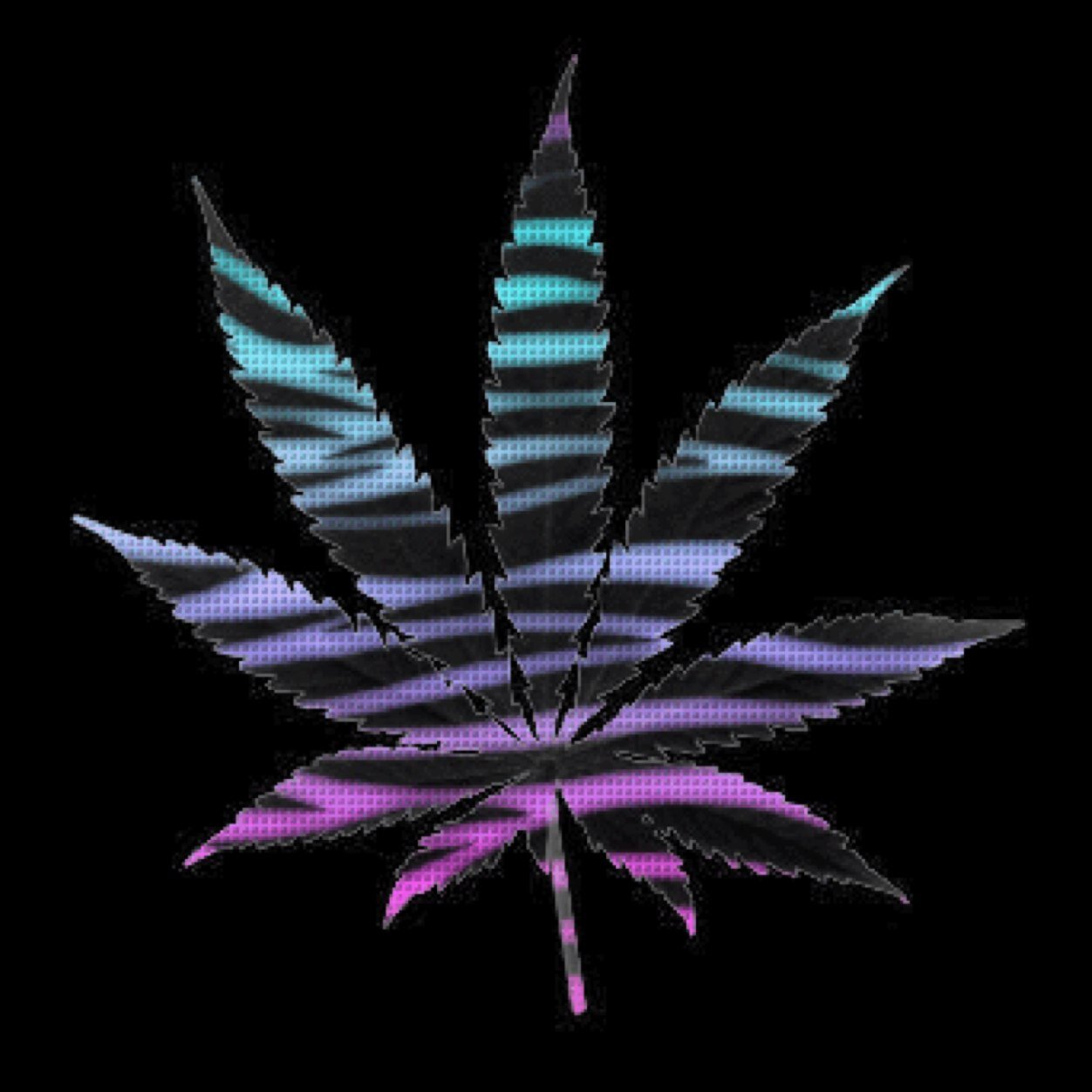 Smoking on the good reefer. Being productive at the same time. Getting all them bad hoes, this joint is about to go. Nuff said !