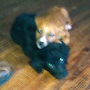 Yvette Leon - @yleon716 - Twitter