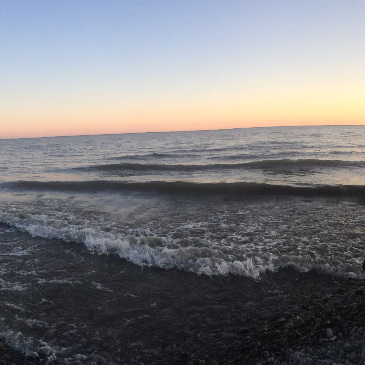 bnose112's profile picture. 