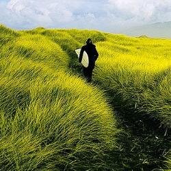 Mind ~ Bodhi ~ Soul. Reality Hacker. Based in the North of Ireland #Vegan #mindfulness #meditation #positivity #wellbeing