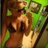 AmandaBarrow6's profile image