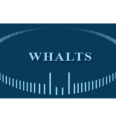 ‘WHALTS was born with a vision of serving the industry for mobile applications, smart services and next-gen computing needs in the market.