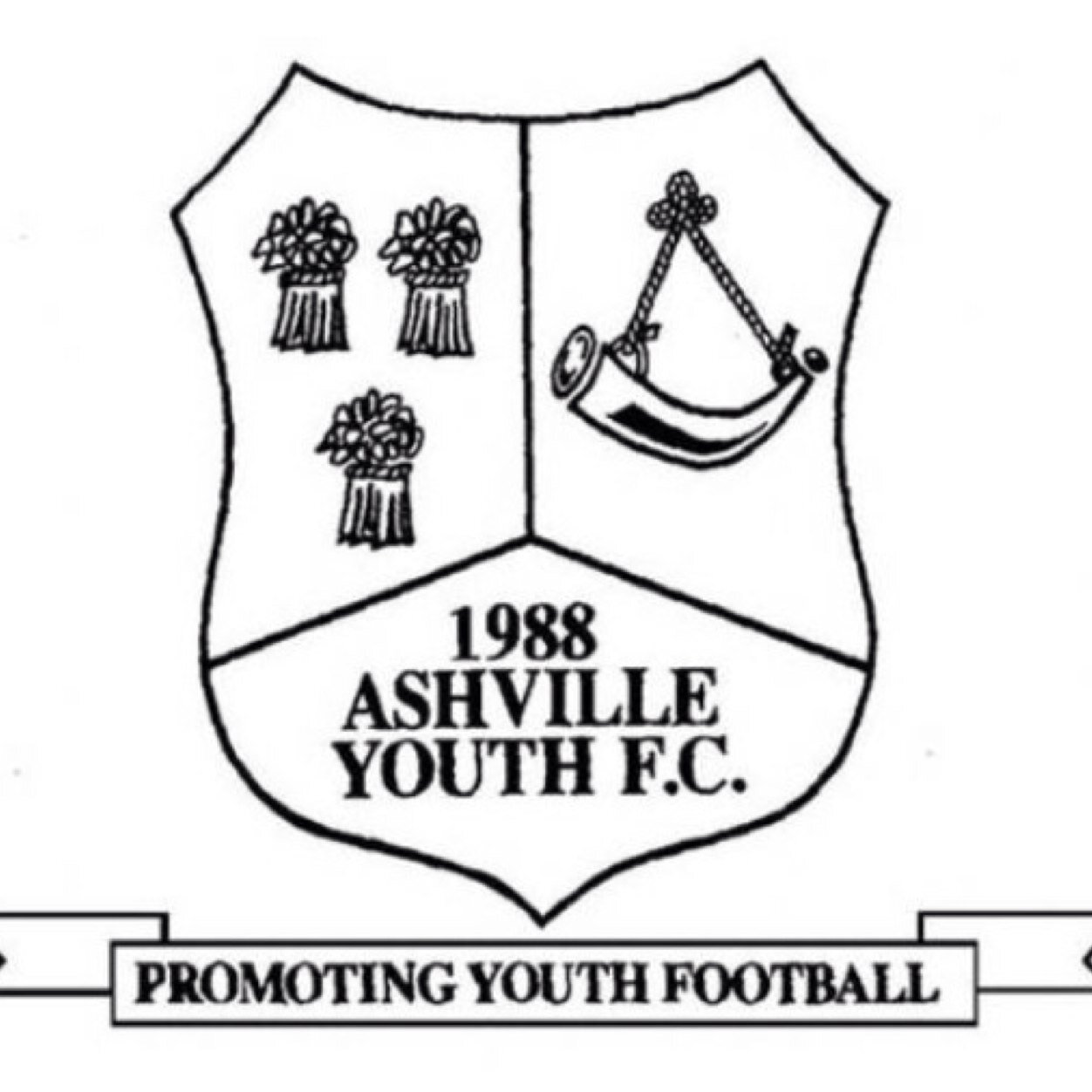 AshvilleYouth's profile picture. 