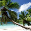 Morgan Jarrett - @MorganJarrett17 - Twitter