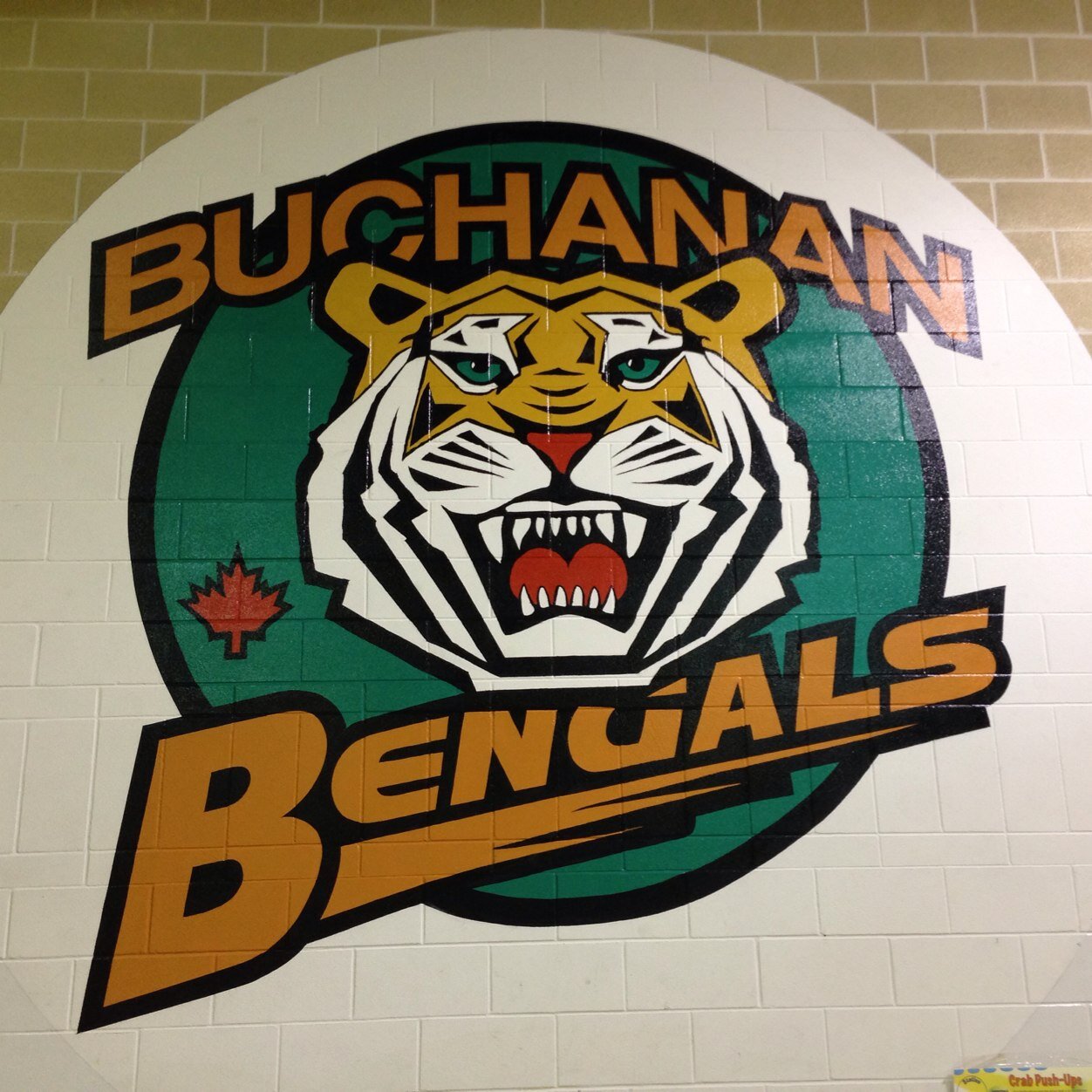 Buchanan School K-5 Phys.Ed news Winnipeg, Manitoba, Canada Catch us on instagram as well @buchananPhysEd.
