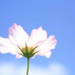 yksenkk378's profile picture. 