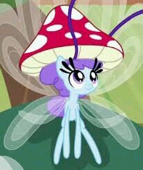 hello im mushroom a male breezie dont hug me to tight please /homeless/ hates jars/ mare friend: @ice_mlp