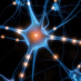 Neuro Now (@neuronow) Twitter profile photo Neuro Now (@neuronow) Twitter profile photo