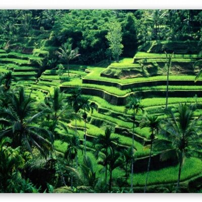 Asfsf Asfsf31937827 Twitter twitter