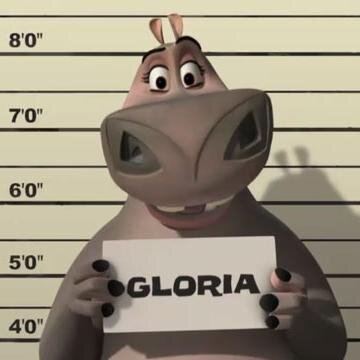 glriamartinez's profile picture. 