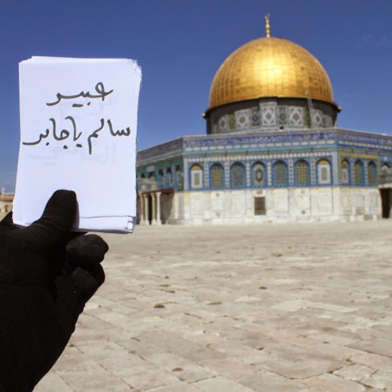 #وصف_اسم عبير:اُم الجميع ومحل ثقتهم،خياليه،يجذبها الغامض،مرحه، تُحبّ الصخب.” #RNnurse 💉 #ISNC #انا330 #الأسد لا إله إلا الله.