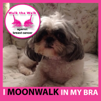 andyjkking's profile picture. 