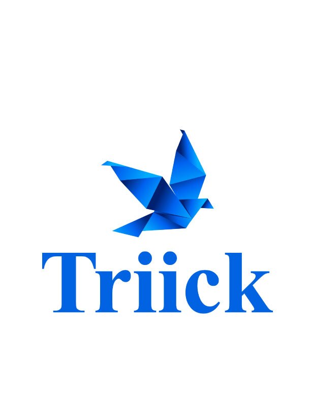 Triick es una empresa dedicada a la creación de videomappings personalizados,  para proyecciones en fachadas exteriores y al desarrollo de escenarios virtuales.