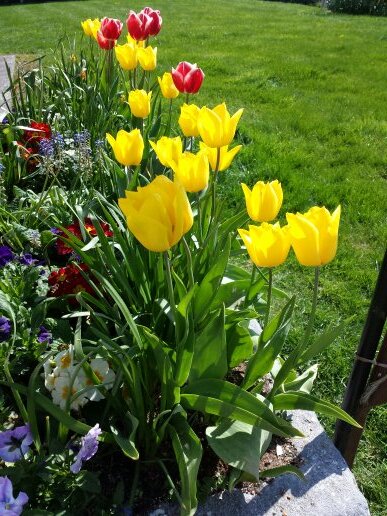 101greenocean's profile picture. 