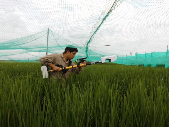 jrodriguezesp's profile picture. Data Scientist | Agricultural Sciences | Agro-Climate modeler