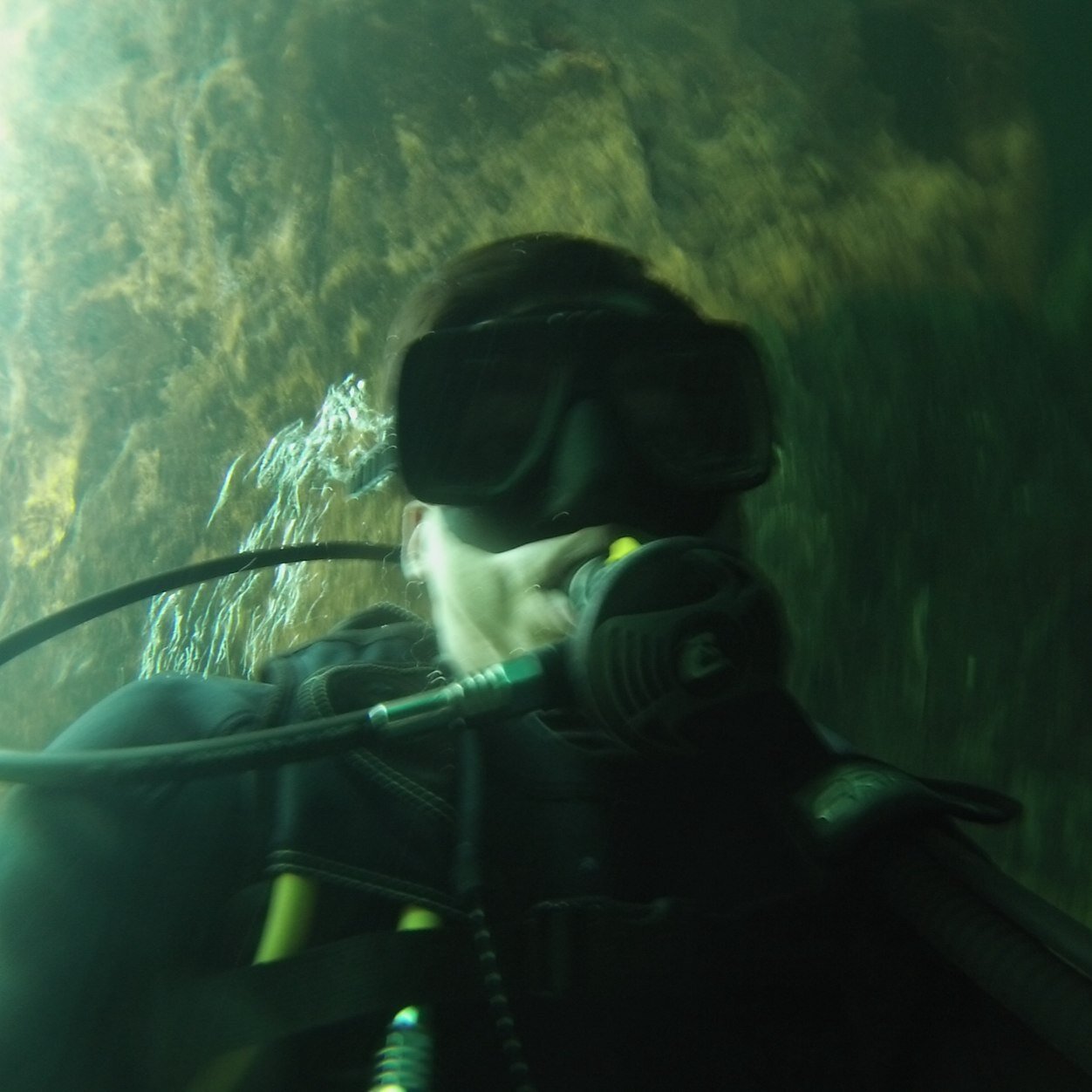 cuatealvz's profile picture. 