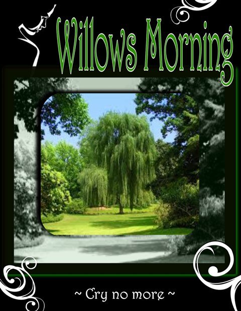 reapmovies's profile picture. Reap Entertainment Features Willow's Morning!!!