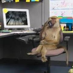 GTsakuhhin's profile picture. 