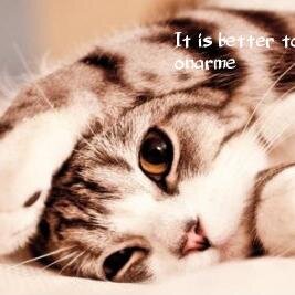 andreitalike1's profile picture. 