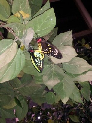 Kathlee74575776's profile picture. Public Relations.