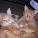 barbara Neil - @bookneil - Twitter