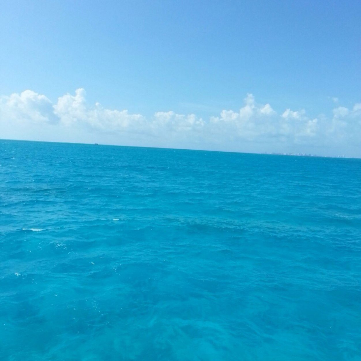 eringirgis's profile picture. 