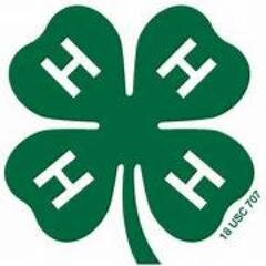 Albemarle/Charlottesville 4-H provides area youth with positive programs: clubs, camps, and more! Contact us for more info about your family's involvement!