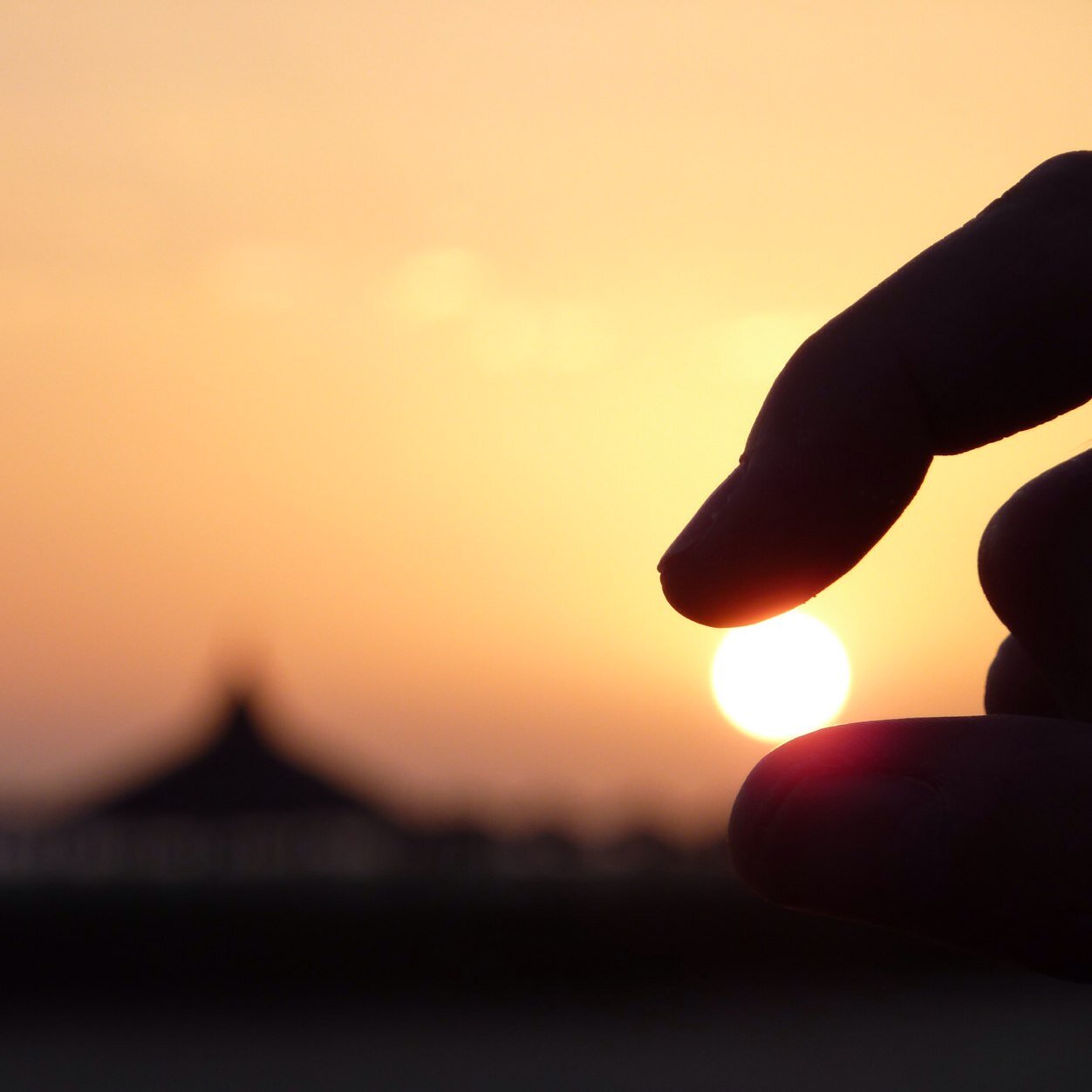 debbielj62's profile picture. 