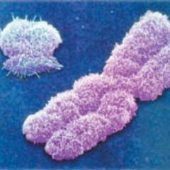 Life science links