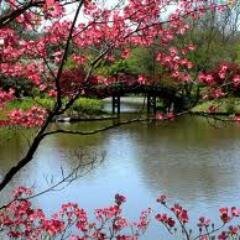 wafa94821359's profile picture. 