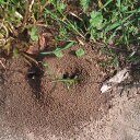 Rita Cunningham - @thyrdchyld - Twitter