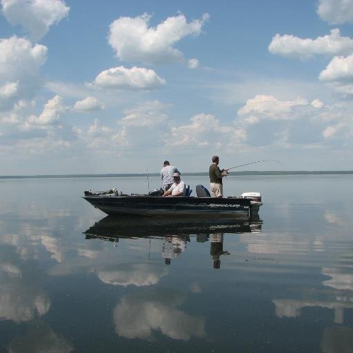 CalgaryGuv's profile picture. 