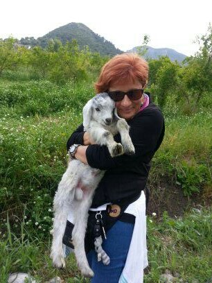 BirkanEcder's profile picture. 