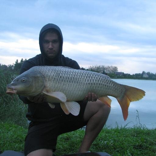 Kreich_R's profile picture. 