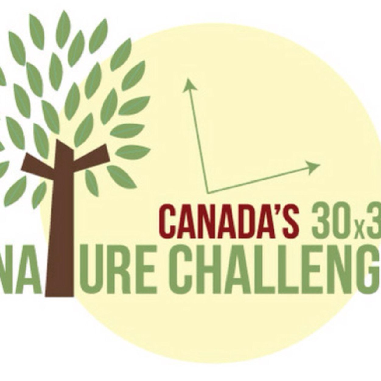 This page is made by Mr. Mieske's grade 7/8 class of 2014! Here is where we post our progress for the 30x30 challange!