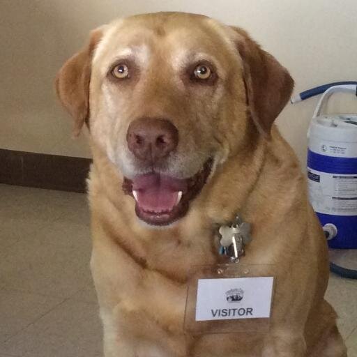 Gordon_Luck's profile picture. ⚡️Come grow this scorched ground green⚡️