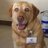 Gordon_Luck's profile image