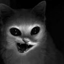 Dale Short - @DaleShort18 - Twitter