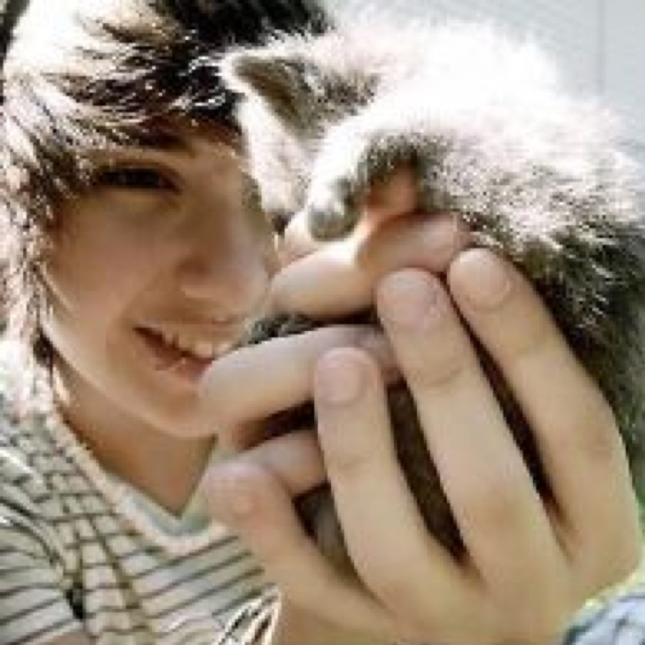 VincentGrxy's profile picture. Meow, Meow, MotherFluffer c: | 17 | Cassy is a princess.