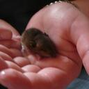 Hannah Buxton - @H_T_B - Twitter