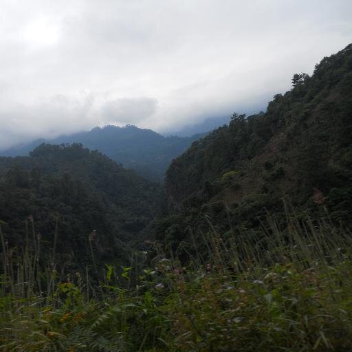 TRIGOLENTO's profile picture. ABOGADO NOTARIO Y ACTUARIO, AMANTE DE LA OPERA, LA PINTURA.