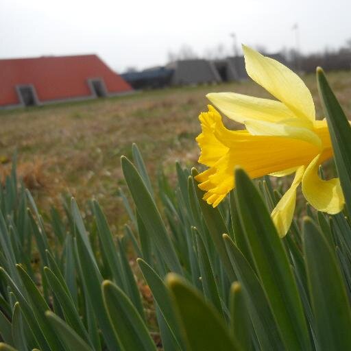 The Friends of Angel Mounds is a support group for Angel Mounds State Historic Site, which was once a thriving ancient metropolis for Mississippian Indians.